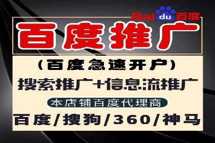 网站sem托管案例分享：如何精准投放广告